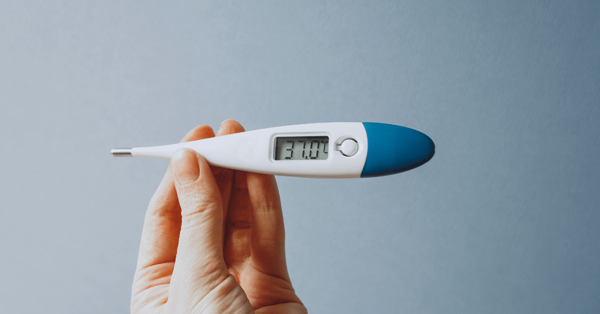 Ultimate Guide Understanding Different Types of Thermometers and Their Uses